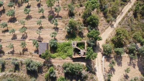 Quinta T0 para venda, em Juncal do Campo com 3720m2, ruina e dois poços