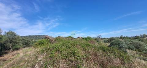 Quinta com área total de 9.5ha, a 3 minutos de Castelo Branco.