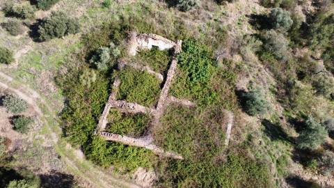 Quinta com área total de 9.5ha, a 3 minutos de Castelo Branco.