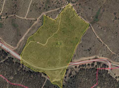 Quinta com área total de 9.5ha, a 3 minutos de Castelo Branco.