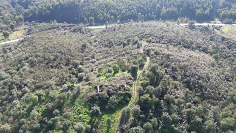 Quinta com área total de 9.5ha, a 3 minutos de Castelo Branco.
