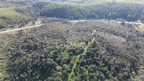 Quinta com área total de 9.5ha, a 3 minutos de Castelo Branco.