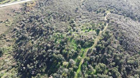 Quinta com área total de 9.5ha, a 3 minutos de Castelo Branco.