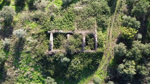 Quinta com área total de 9.5ha, a 3 minutos de Castelo Branco.