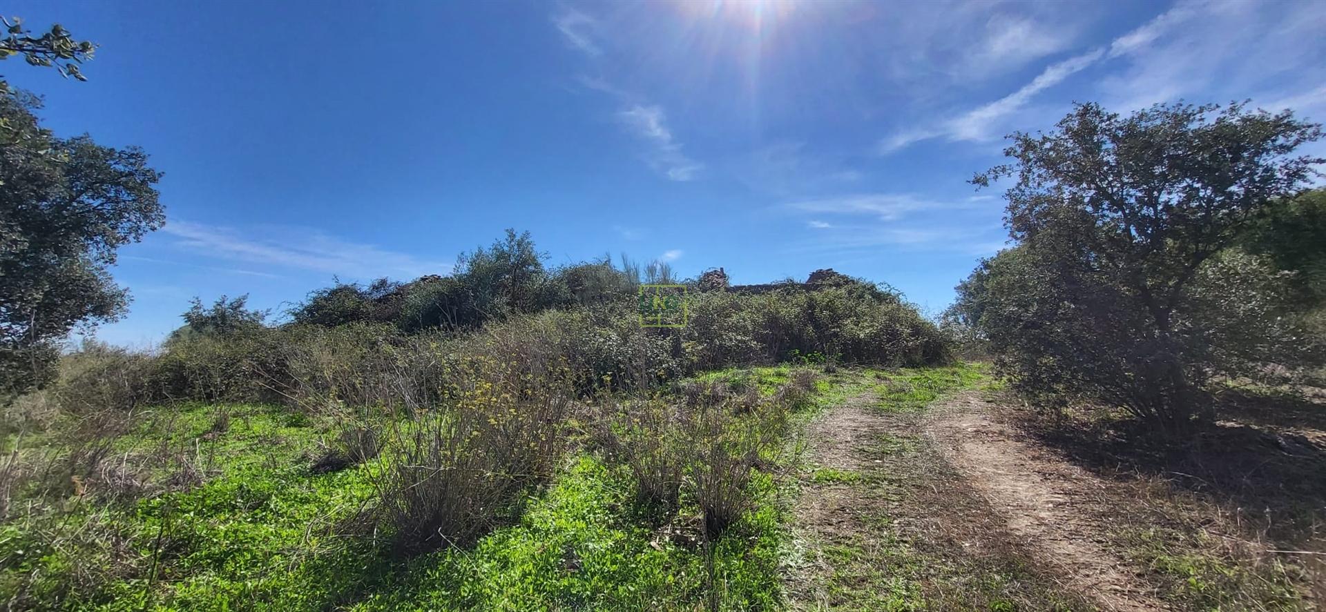 Quinta com área total de 9.5ha, a 3 minutos de Castelo Branco.