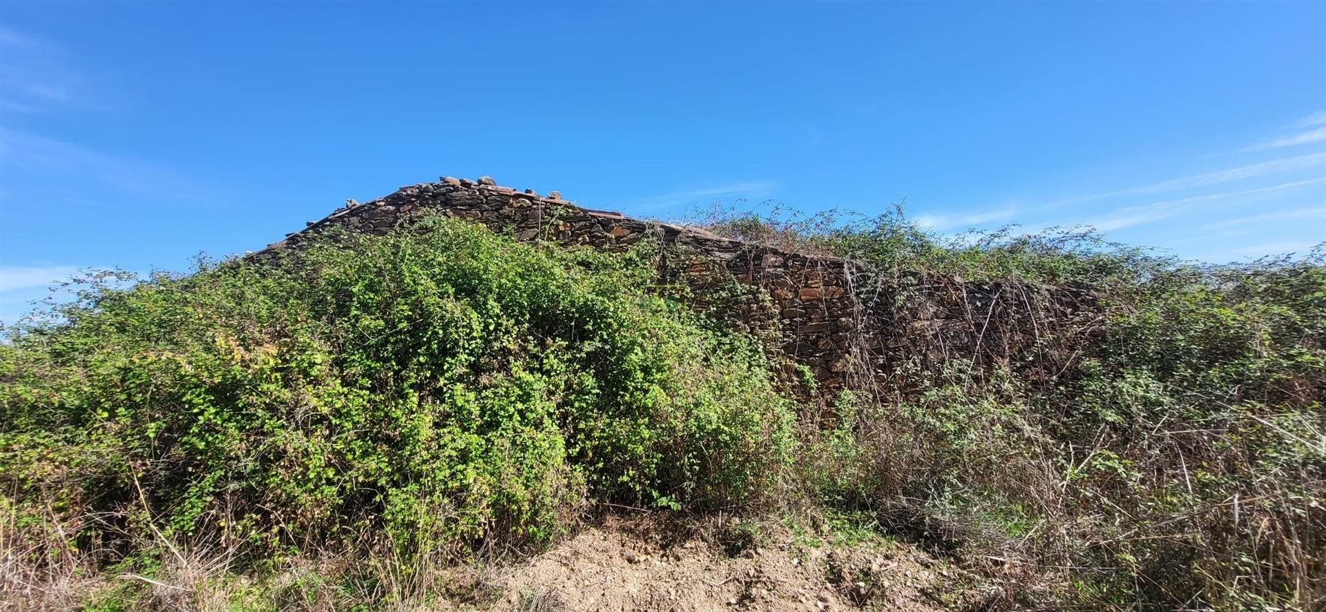 Quinta com área total de 9.5ha, a 3 minutos de Castelo Branco.
