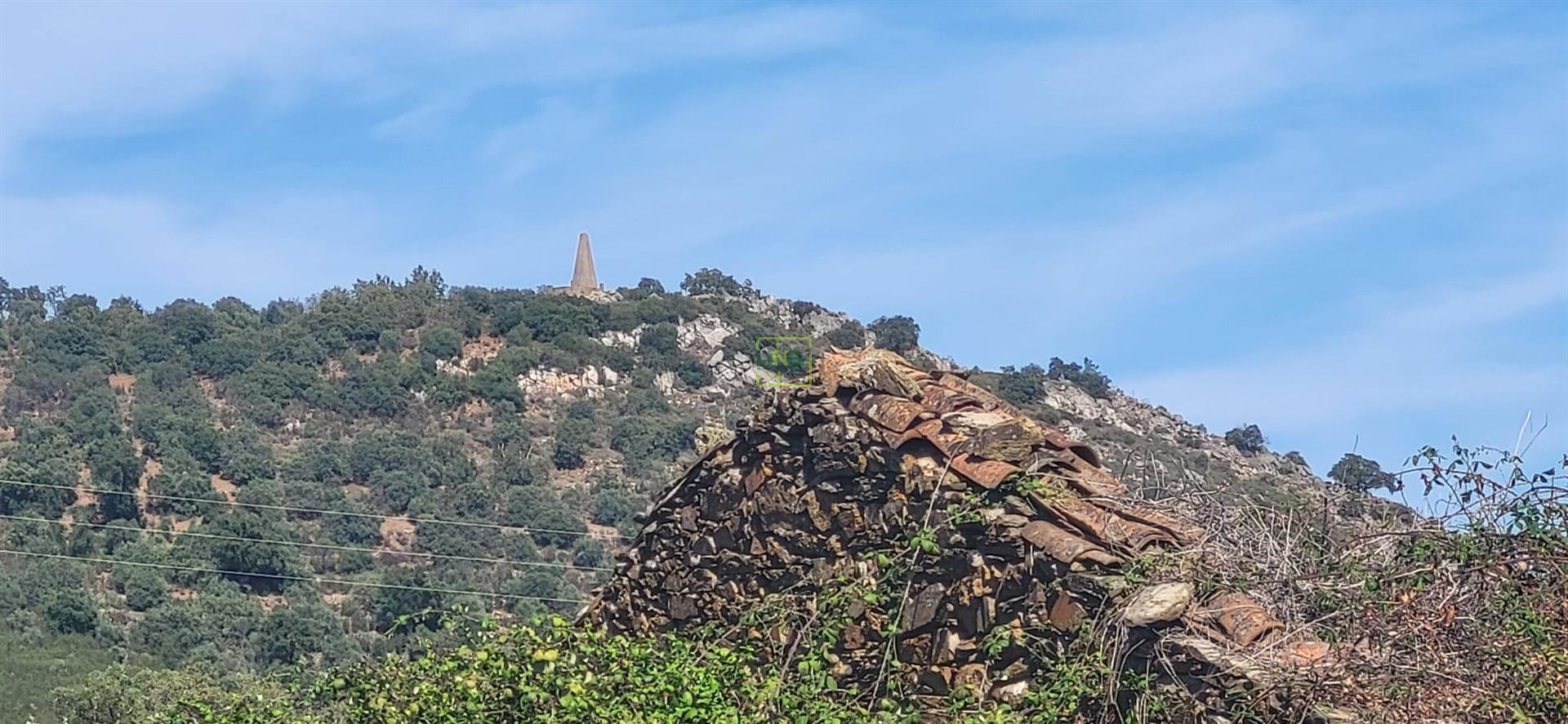 Quinta com área total de 9.5ha, a 3 minutos de Castelo Branco.