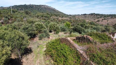Quinta com área total de 9.5ha, a 3 minutos de Castelo Branco.