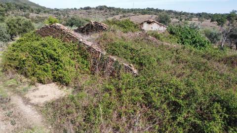 Quinta com área total de 9.5ha, a 3 minutos de Castelo Branco.