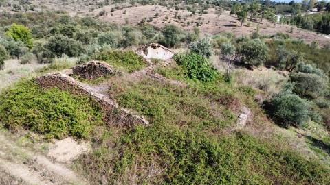 Quinta com área total de 9.5ha, a 3 minutos de Castelo Branco.