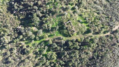 Quinta com área total de 9.5ha, a 3 minutos de Castelo Branco.