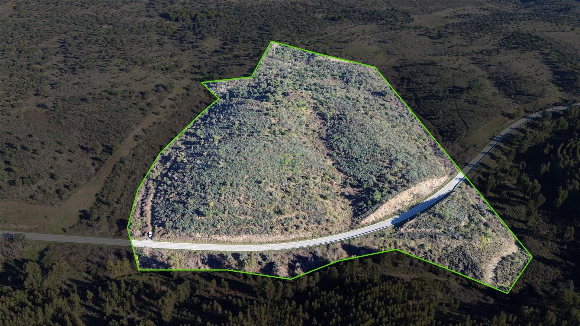 Quinta com área total de 9.5ha, a 3 minutos de Castelo Branco.