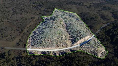 Quinta com área total de 9.5ha, a 3 minutos de Castelo Branco.