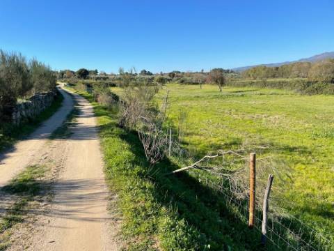 Quinta em Atalaia do Campo - Fundão