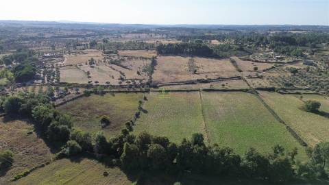 Quinta em Atalaia do Campo - Fundão