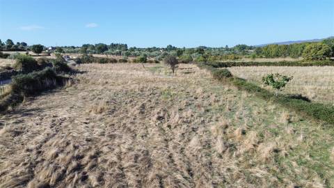 Quinta em Atalaia do Campo - Fundão