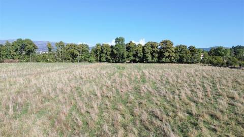 Quinta em Atalaia do Campo - Fundão