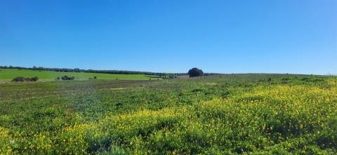 Herdade T0 Venda em Idanha-a-Nova e Alcafozes,Idanha-a-Nova