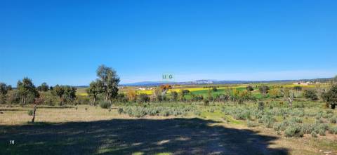 Herdade 125 ha - Idanha-a-Nova