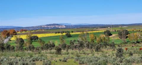 Herdade 125 ha - Idanha-a-Nova