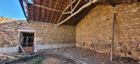 Herdade 125 ha - Idanha-a-Nova