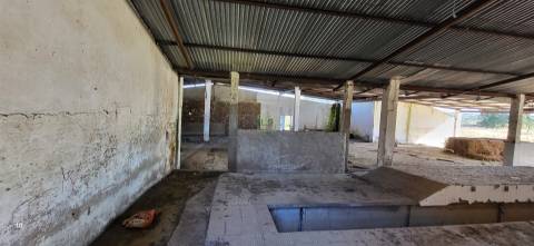 Herdade 125 ha - Idanha-a-Nova