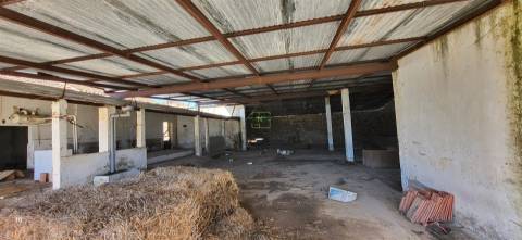 Herdade 125 ha - Idanha-a-Nova