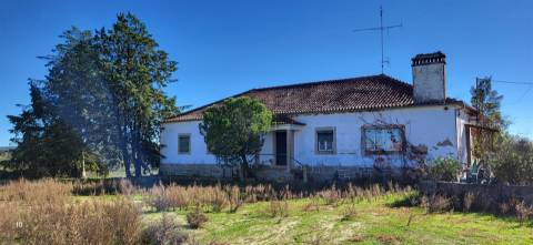 Herdade 125 ha - Idanha-a-Nova