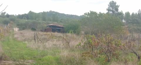 Terreno rústico em Aldeia de João Pires, Penamacor.