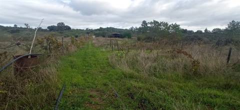 Terreno rústico em Aldeia de João Pires, Penamacor.
