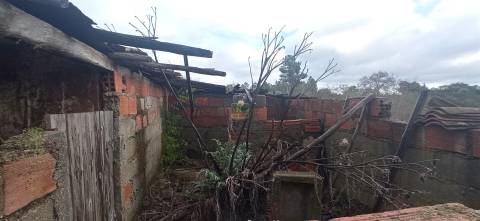 Terreno rústico em Aldeia de João Pires, Penamacor.