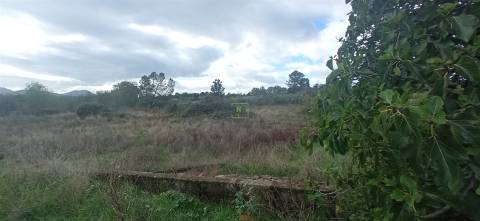 Terreno rústico em Aldeia de João Pires, Penamacor.