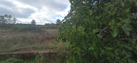 Terreno rústico em Aldeia de João Pires, Penamacor.