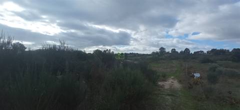 Terreno rústico em Aldeia de João Pires, Penamacor.