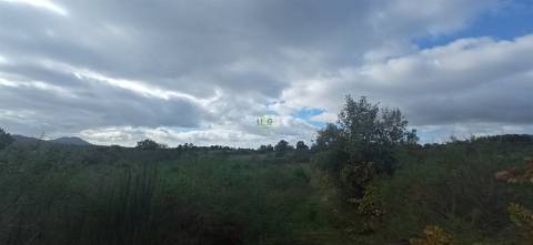 Terreno rústico em Aldeia de João Pires, Penamacor.