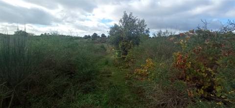Terreno rústico em Aldeia de João Pires, Penamacor.