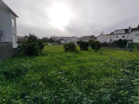 Terreno à venda na Boa Esperança, Castelo Branco 389 m²