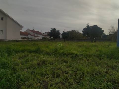 Terreno à venda na Boa Esperança, Castelo Branco 372 m²