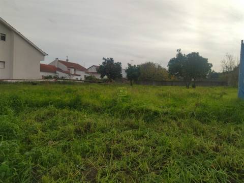 Terreno à venda na Boa Esperança, Castelo Branco 372 m²