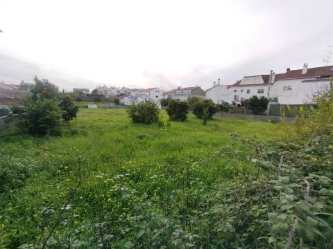 Terreno à venda na Boa Esperança, Castelo Branco 272 m²