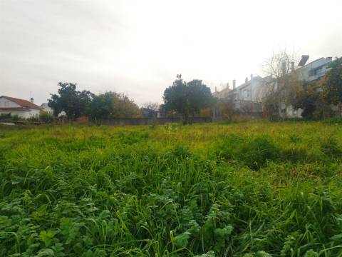 Terreno à venda na Boa Esperança, Castelo Branco 372 m²