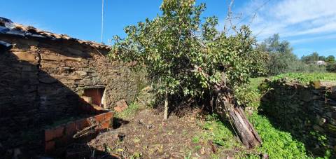 Moradia para venda, com quintal na freguesia de Sarzedas
