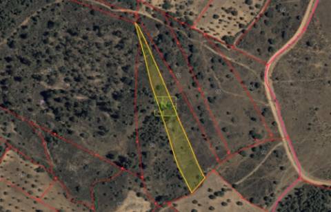 Terreno Rústico - 3750m2 - Idanha-a-Nova