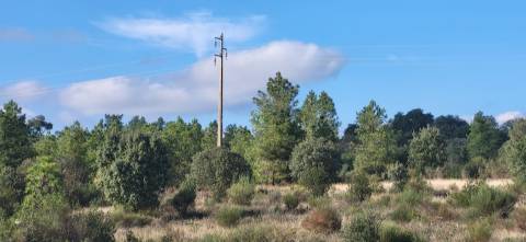 Terreno Rústico - 3750m2 - Idanha-a-Nova