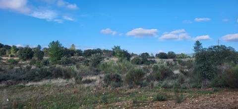 Terreno Rústico - 3750m2 - Idanha-a-Nova