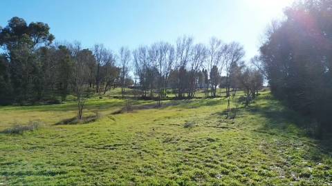 Terreno Rústico com 9400m2 sito em Águas, Penamacor.