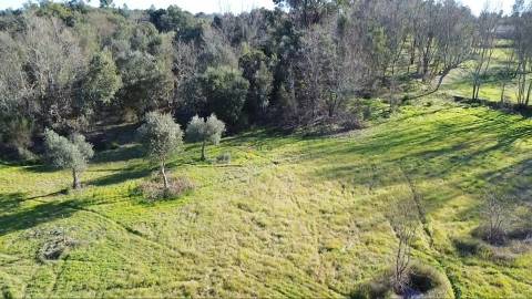 Terreno Rústico com 9400m2 sito em Águas, Penamacor.