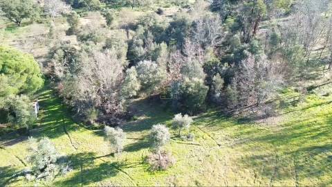 Terreno Rústico com 9400m2 sito em Águas, Penamacor.