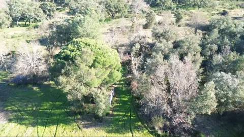Terreno Rústico com 9400m2 sito em Águas, Penamacor.