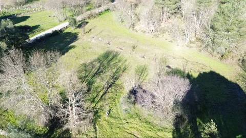 Terreno Rústico com 9400m2 sito em Águas, Penamacor.